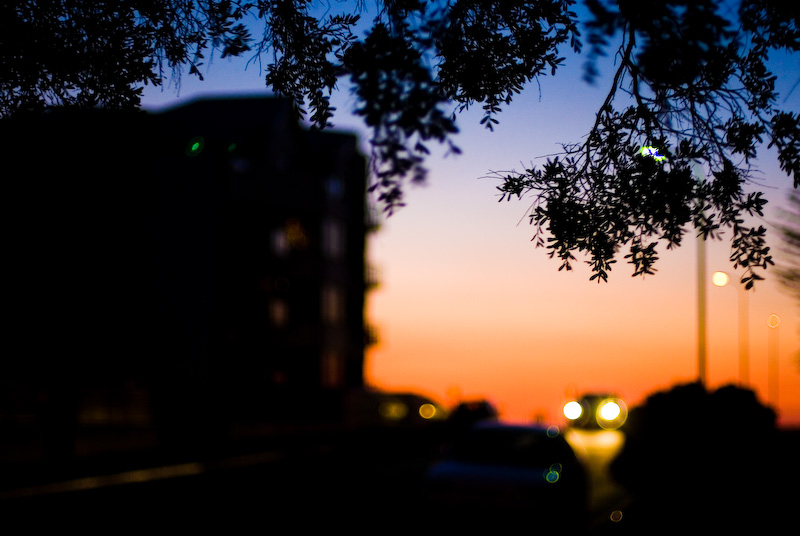 Tower, lights, tree and sunset